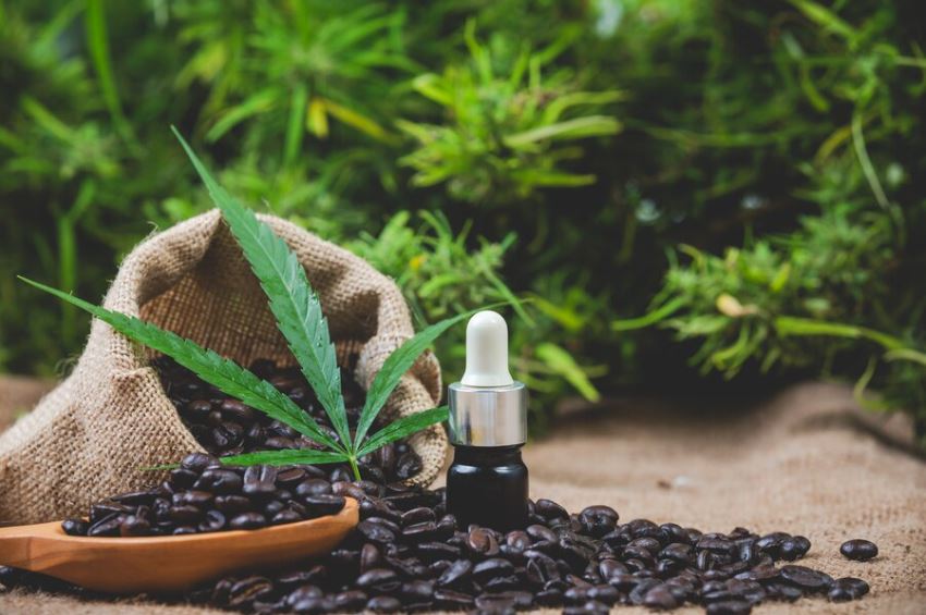 Comprehensive CBD Guide: Understanding the Wonders of CBD and its Safe Usage