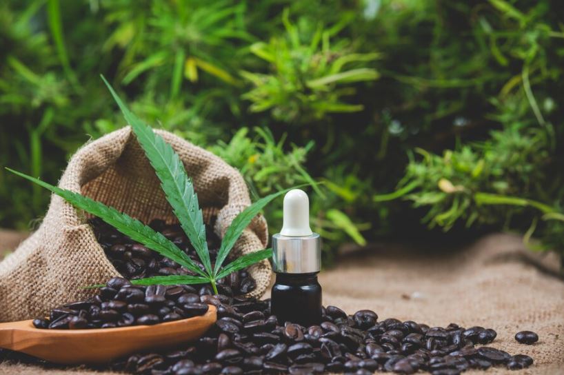 Elevate Your Joy: The Transformative Power of CBD for Pain Relief